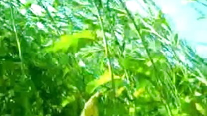 मालिश अपार्टमेंट समूह सेक्स के साथ पागल किशोर सेक्सी बीपी इंग्लिश पिक्चर वीडियो जो प्यार युवा जुराब तीन