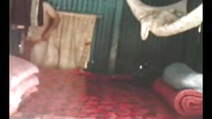 बिल्ली सेक्सी मूवी इंग्लिश में पाला है और एक शराबी वेश्या सोफे पर एक पार्टी के बीच में
